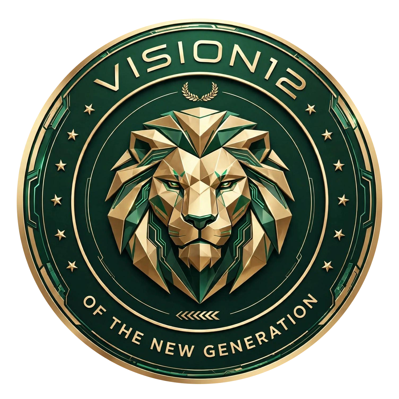 Vision12 Logo